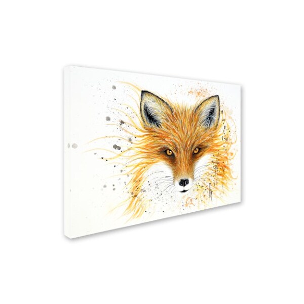 Michelle Faber 'Fox Fire' Canvas Art,24x32